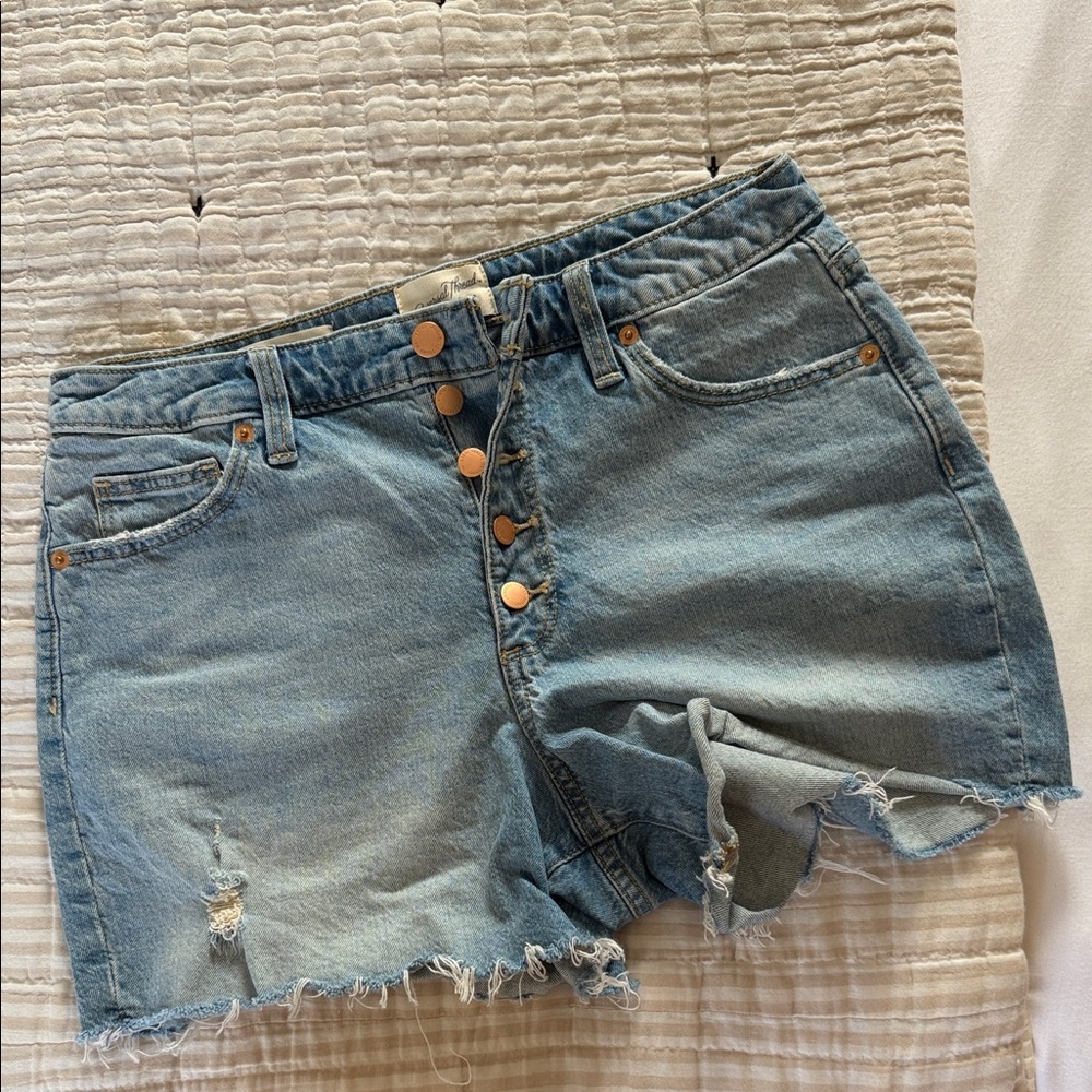 Universal Thread Light Blue Jean Shorts